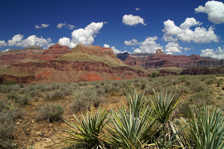 http://www.fbouju.net/photos/grand_canyon_plateau.jpg